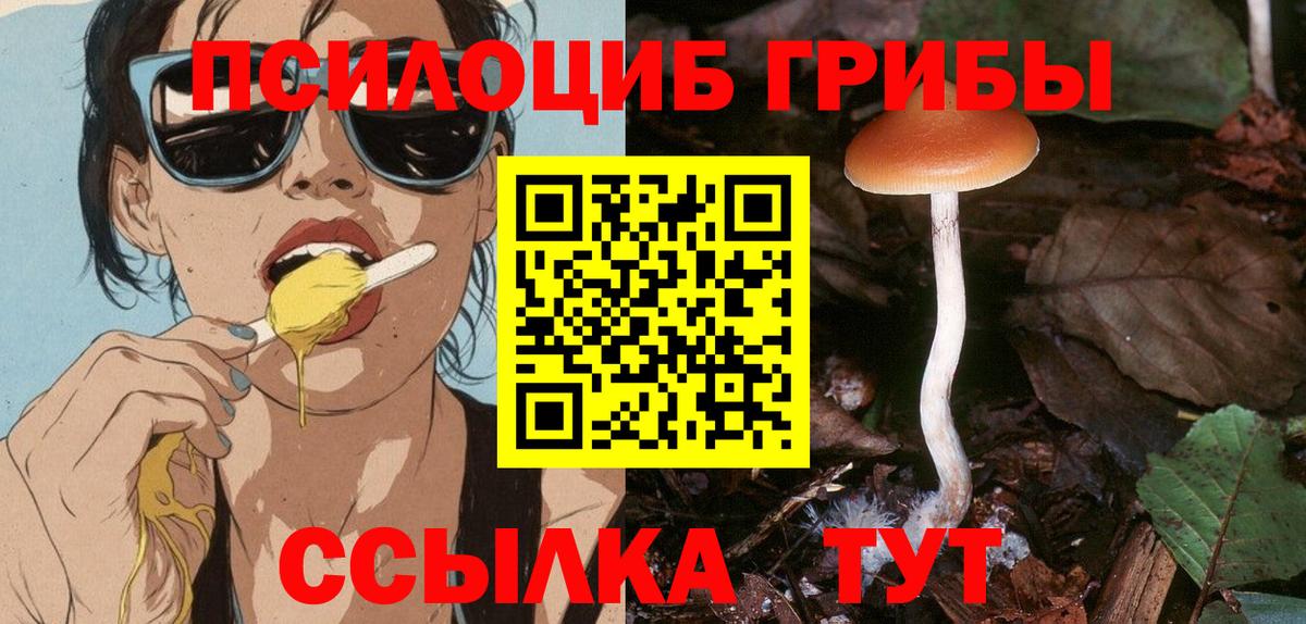 Лесозаводск  купить наркоту  Вход с VPN  Псилоцибиновые грибы GOLDEN TEACHER 