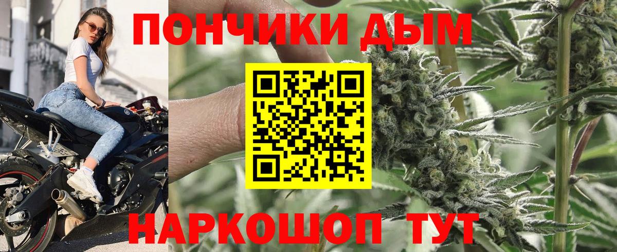 Каннабис гибрид Лесозаводск